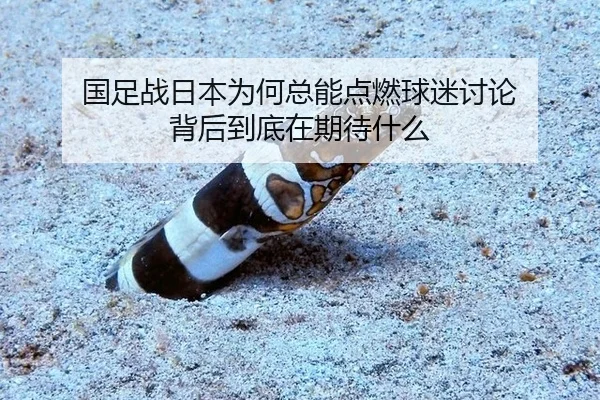 国足战日本为何总能点燃球迷讨论 背后到底在期待什么